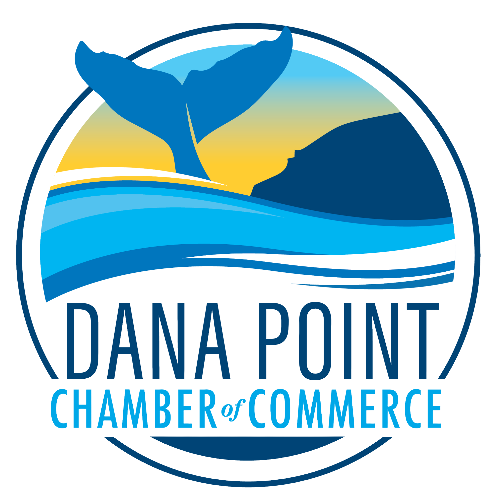 DP Chamber